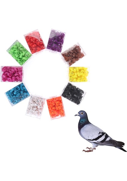 Açık Yeşil Tarzı Lot Ayarlanabilir Kümes Hayvanları Ayak Halkası Kuş Güvercin Tabela Çiftlik Hayvanı Taşıyıcıları (Yurt Dışından) fiyatları