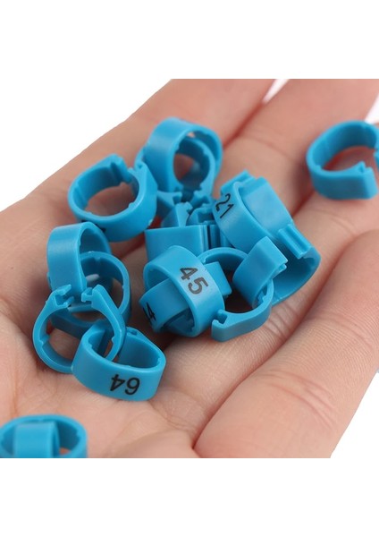 Açık Yeşil Tarzı Lot Ayarlanabilir Kümes Hayvanları Ayak Halkası Kuş Güvercin Tabela Çiftlik Hayvanı Taşıyıcıları (Yurt Dışından) fırsatları