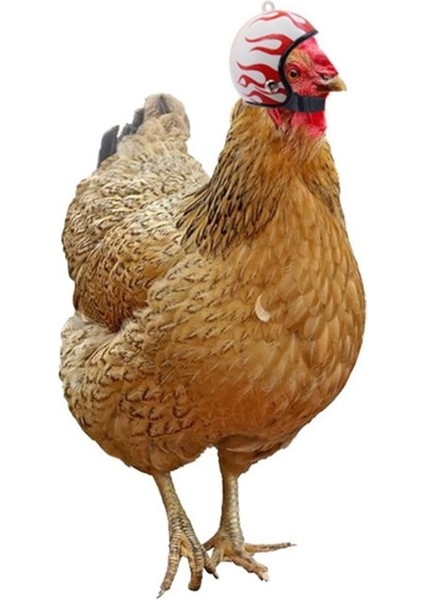 K Tarzı Çiftlik Pet Tavuk Kask Güneş Yağmur Koruma Tavuklar Için Sevimli Şapka Açık Kümes Koruyucu Dişli Mücadele Horoz Komik (Yurt Dışından) fırsatları