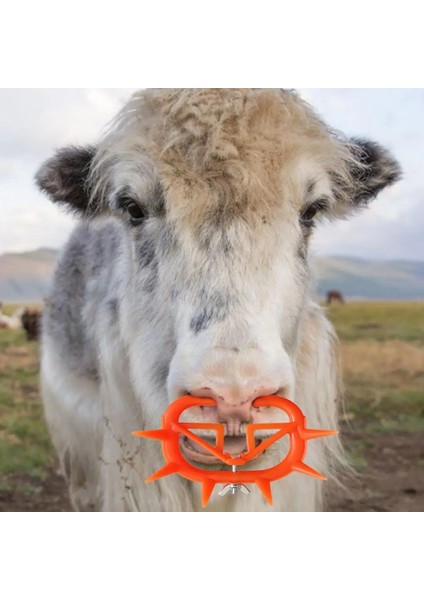B Tarzı Inek Burun Sütten Kesici Buzağı Sığır Burun Klipsi Sağımı Durdurmak Için Plastik Inek Burun Diken Sütten Kesme Aleti (Yurt Dışından) fiyatları