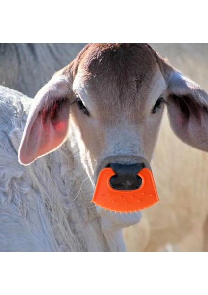 B Tarzı Inek Burun Sütten Kesici Buzağı Sığır Burun Klipsi Sağımı Durdurmak Için Plastik Inek Burun Diken Sütten Kesme Aleti (Yurt Dışından) modelleri