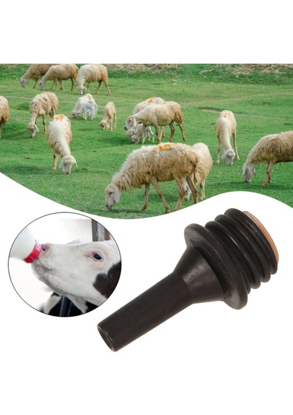 9,5x5,9 cm Stili Gıda Sınıfı Kauçuk Hayvancılık Nipel Suluk Emzirme Için Süt Nipel Sığır Koyun Buzağı Kuzu Keçi Midilli Hayvancılık Besleme Nipelleri (Yurt Dışından) indirimleri