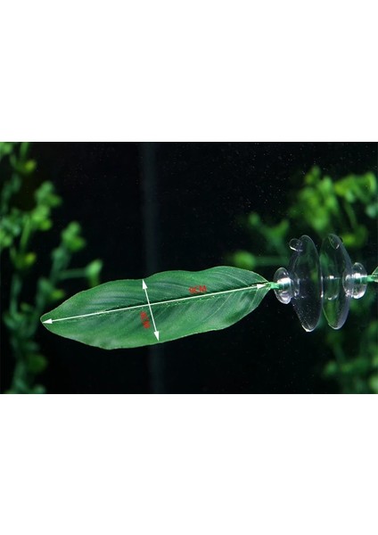 Gri Stil 3 Adet Yeni Yapay Bitki Yaprak Tropikal Akvaryum Dekor Betta Hamak Balık Dinlenme Yatağı Balık Dinlenme Yumurtlama Çevre Koruma (Yurt Dışından)