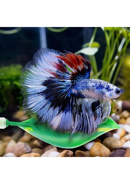 Kırmızı Stil Akvaryum Silikon Süs Dekorasyon Simülasyon Mercan Betta Fawning Dinlenme Yaprak Balık Tankı Akvaryum Arka Plan Için (Yurt Dışından) fırsatları