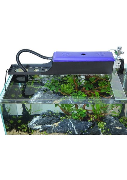 Su Pompası Stili Olmadan 6W Akvaryum Dış Filtre Kutusu Utra Sessiz Dalgıç Pompa Su Sirkülasyon Sistemi Ayarlanabilir Uzunluk Balık Tankı Filtre Kabı (Yurt Dışından) fırsatları