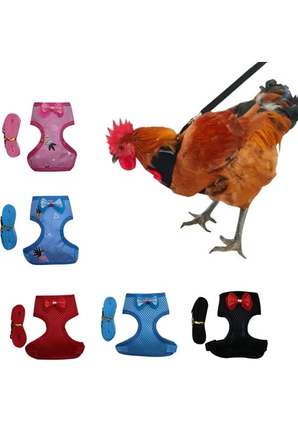 Mavi Stil M Beden 2022 Tavuklar Horozlar Için Tasmalı Yeni Ayarlanabilir Tavuk Koşum Ördek Küçük Evcil Hayvanlar (Yurt Dışından) modelleri