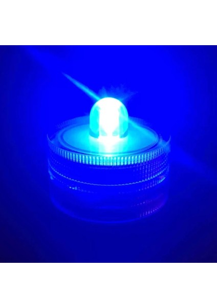 Bl-2 Stili Mini Balık Tankı Sıra Akvaryum Istiflenebilir Tanklar Hafif Karınca Besleme Tankları Mini Sürüngen Sıra Kutusu Masaüstü Dekorasyon Akvaryum Aksesuarları (Yurt Dışından)