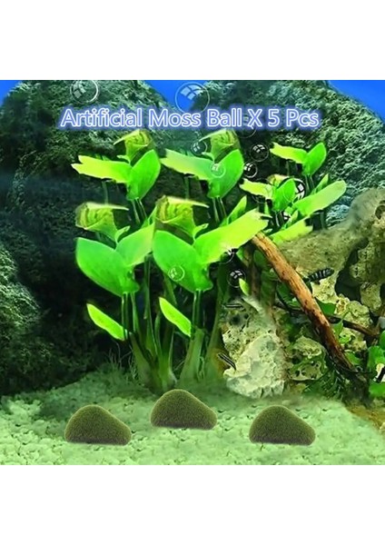 5 Adet Yosun Topu Akvaryum Yosun Topu Süsleme Cladophora Bitki Dekorasyon Tankı Marimo Balık Dekor (Yurt Dışından)