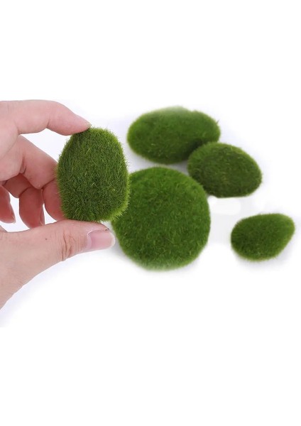 5 Adet Yosun Topu Akvaryum Yosun Topu Süsleme Cladophora Bitki Dekorasyon Tankı Marimo Balık Dekor (Yurt Dışından)