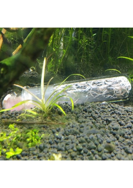 B Tarzı 1 Adet Balık Tankı Haşere Yakalama Tuzağı Sucul Planaria Catcher Solucan Tuzağı Cam Temizleyici Aracı Sm (Yurt Dışından) modelleri