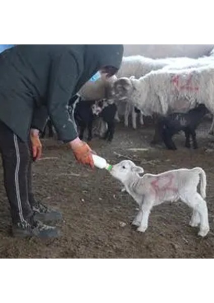 Sadece Bir Şişe Tarzı 850ML Buzağı Koyun Süt Tiryakisi Değiştirilebilir Silikon Meme Kuzu Keçi Besleyici ile Şişe Su Tiryakisi Besleme Malzemeleri Araçları (Yurt Dışından)