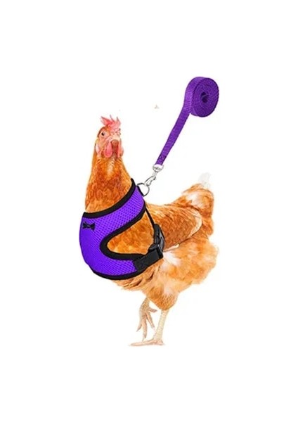 Mor Tarzı Xl Beden Fashioken Yelek Tavuk Kemeri Pet Koşum Eşleşen Yaka Yay Rahat Talepleri Nefes Kümes Hayvanları Malzemeleri (Yurt Dışından)