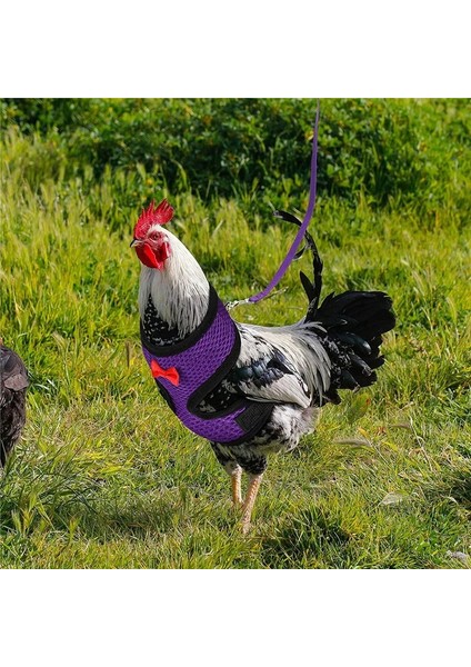 Mor Tarzı Xl Beden Fashioken Yelek Tavuk Kemeri Pet Koşum Eşleşen Yaka Yay Rahat Talepleri Nefes Kümes Hayvanları Malzemeleri (Yurt Dışından) fırsatları