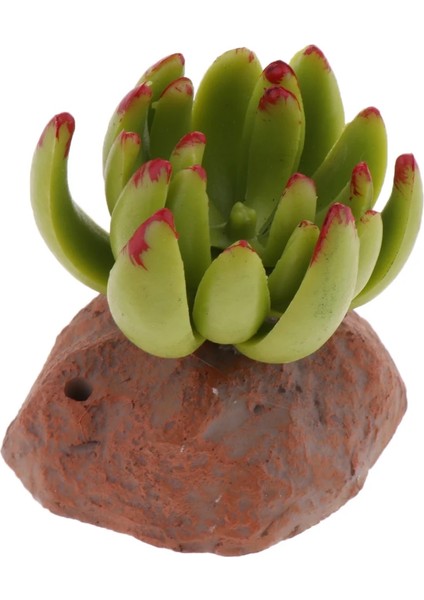 No.3 Tarzı Sürüngen Teraryum Kaktüs Succulents Bitkiler Kaplumbağa Için Peyzaj (Yurt Dışından) modelleri