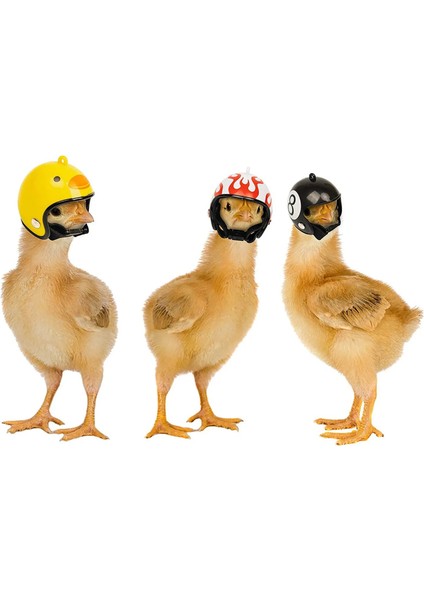 1 Adet F Tarzı Tavuk Kuş Kafası Koruma Kask Kuş Şapka Komik Pet Kask Giyim Accessori Kuş Tavuklar Ördek Bıldırcın Şapka Başlık Küçük Pet (Yurt Dışından) modelleri