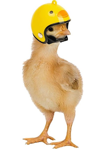 1 Adet F Tarzı Tavuk Kuş Kafası Koruma Kask Kuş Şapka Komik Pet Kask Giyim Accessori Kuş Tavuklar Ördek Bıldırcın Şapka Başlık Küçük Pet (Yurt Dışından) fırsatları
