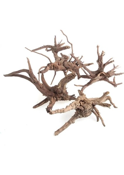 Siyah Stil cm Akvaryum Dekorasyon Ahşap Doğal Gövde Driftwood Ağacı Balık Tankı Arka Plan Bitki Güdük Guguklu Kök Yosun Ağacı Süsleme (Yurt Dışından) modelleri