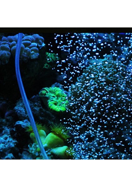 1 Adet Tarzı 6 Inç 10CMCMCMCM Hava Pompası Kum Taşı Akvaryum Oksijen Pompası Taze Hava Taş Kabarcık Bar Akvaryum Balık Tankı Havalandırıcı Pompa Dropship (Yurt Dışından) fiyatları