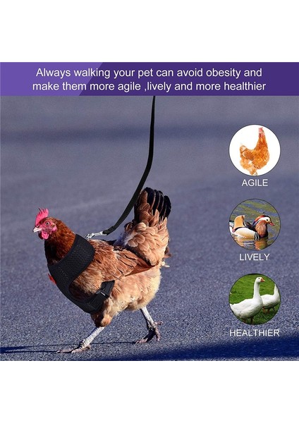 Mor Tarzı S Beden Fashioken Yelek Tavuk Kemeri Pet Koşum Eşleşen Yaka Yay Rahat Talepleri Nefes Kümes Hayvanları Malzemeleri (Yurt Dışından) modelleri