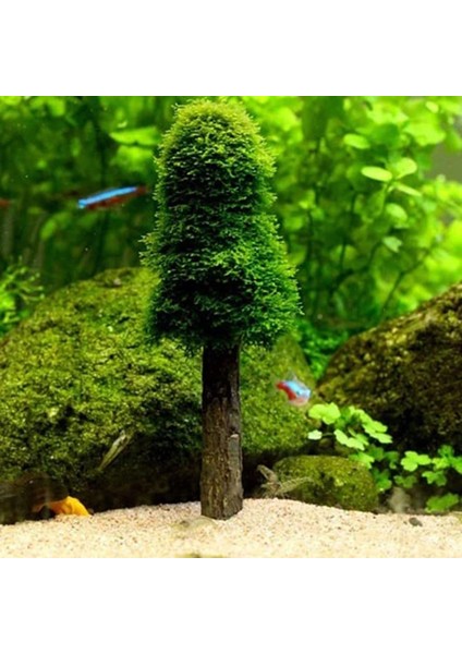 Simülasyon Noel Moss Noel Ağacı Bitki Akvaryum Tankı Peyzaj Dekoru Büyüt Yeni (Yurt Dışından) fiyatları