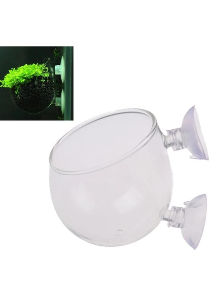 Siyah Stil Akvaryum Dekorasyon Balık Tankı Mini Kristal Cam Pot Polka Su Saksı Dikim Silindir Bardak Akvaryum Aksesuarları Yeşil Çim (Yurt Dışından) fırsatları