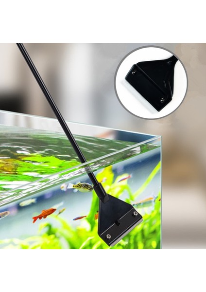 Sadece 10 Adet Bıçak Stili Paslanmaz Çelik Akvaryum Yosun Kazıyıcı Balık Tankı Licone Kazıyıcı Bıçak Sucul Su Canlı Bitki Çim Temizleme Aracı Kiti (Yurt Dışından) indirimleri