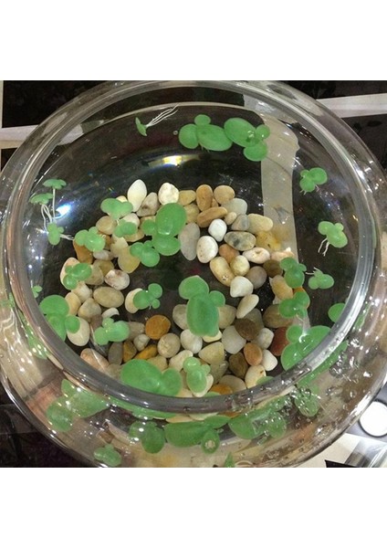 Gösterilen Stil Gibi Muulated Duckweed Bitki Dekor Plastik Köklü Su Tesisi (Yurt Dışından) modelleri