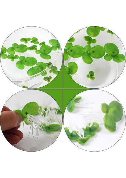 Gösterilen Stil Gibi Muulated Duckweed Bitki Dekor Plastik Köklü Su Tesisi (Yurt Dışından) fırsatları