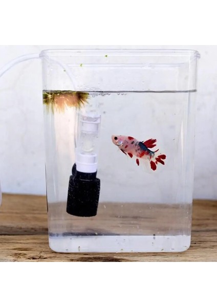 Fish Bowl Akvaryum Için Sessiz Mini Su Pnömatik Filtre (Yurt Dışından)