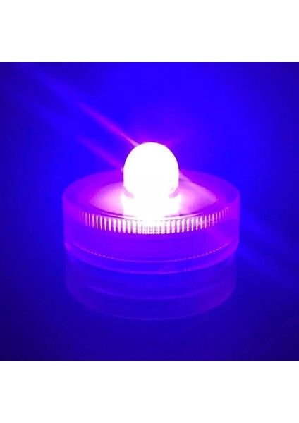 Pu-2 Tarzı Mini Balık Tankı Sıra Akvaryum Istiflenebilir Tanklar Hafif Karınca Besleme Tankları Mini Sürüngen Sıra Kutusu Masaüstü Dekorasyon Akvaryum Aksesuarları (Yurt Dışından)