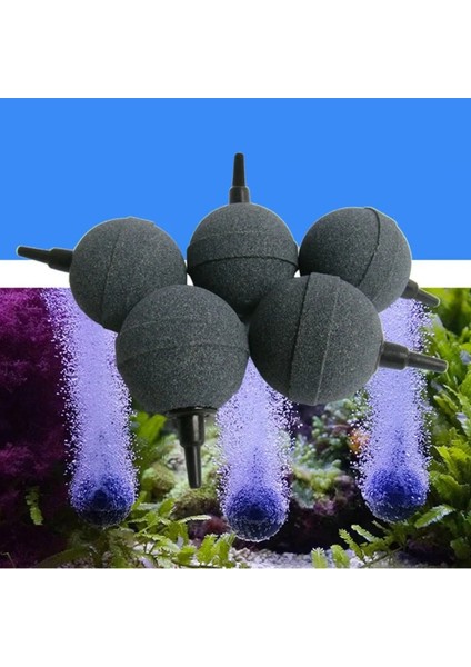 1m Hava Tüpü Stili Çap 2cm 5 Adet Mini Akvaryum Yuvarlak Mineral Kabarcık Hava Taş Gölet Balık Tankı Pompa Havalandırıcı Havalandırma Hidroponik Oksijen Hava Taşı Aksesuarları (Yurt Dışından) indirimleri