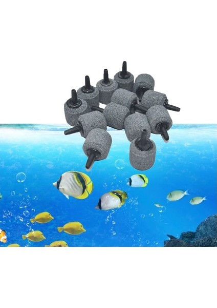 Resim Stili Olarak 2.2cmx2.2cm Balık Tankı Akvaryum Hava Taşı Oksijen Havalandırıcı Artan Hava Kabarcığı Öğe Gölet Pompası Hidroponik Oksijen Kaynağı Taş Küçük (Yurt Dışından) modelleri