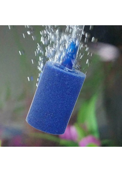 Mavi Stil Kum Kabarcık Taş Akvaryum Hava Pompası Için Özel Kum Akvaryum Kumu Akvaryum Hava Pompası Için Özel Kum E6V3 (Yurt Dışından) indirimleri