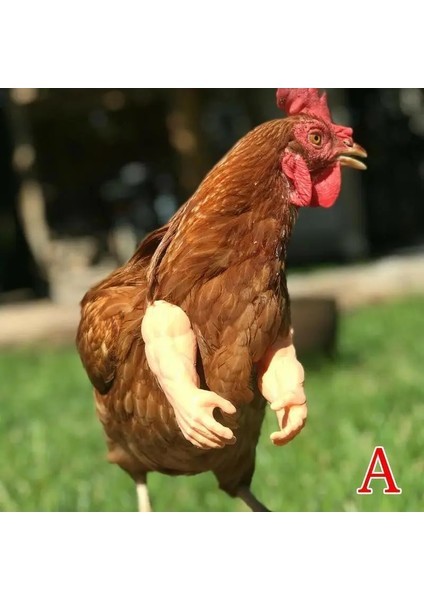Lacivert Tarzı Tavuk Oyuncak Gag Hediye Giyen Yapay Dinozor Silahları Kılıç Sahne Pet Temalı Parti Komik Kuş Dekor Pet Malzemeleri (Yurt Dışından) fiyatları