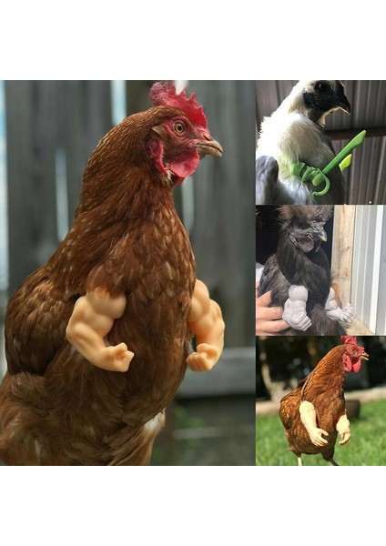 Lacivert Tarzı Tavuk Oyuncak Gag Hediye Giyen Yapay Dinozor Silahları Kılıç Sahne Pet Temalı Parti Komik Kuş Dekor Pet Malzemeleri (Yurt Dışından) modelleri