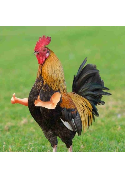 Lacivert Tarzı Tavuk Oyuncak Gag Hediye Giyen Yapay Dinozor Silahları Kılıç Sahne Pet Temalı Parti Komik Kuş Dekor Pet Malzemeleri (Yurt Dışından) fırsatları