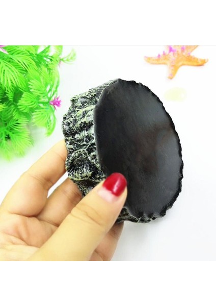 Sarı Stil L Beden Reçine Akvaryum Pet Sürüngen Besleyici Kase Havzası Gıda Su Potu Sürüngen Kaplumbağa Kaplumbağa Akrep Kertenkele Yengeç Malzemeleri 10 cm (Yurt Dışından) fırsatları