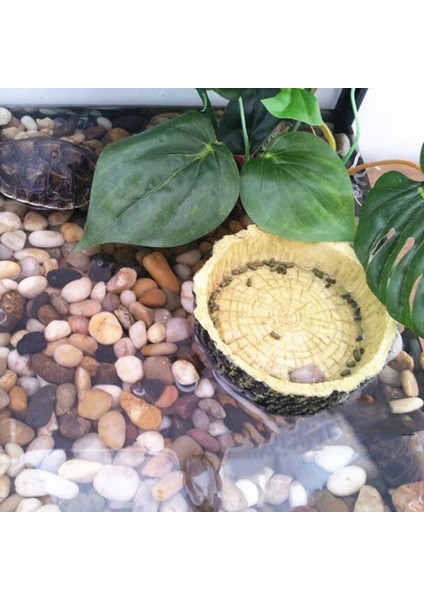 Sarı Stil L Beden Reçine Akvaryum Pet Sürüngen Besleyici Kase Havzası Gıda Su Potu Sürüngen Kaplumbağa Kaplumbağa Akrep Kertenkele Yengeç Malzemeleri 10 cm (Yurt Dışından) indirimleri