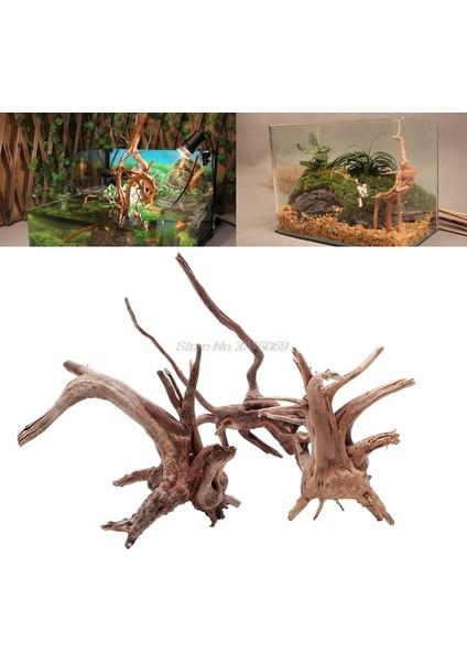 Ahşap Renk Stili Xs Beden 1 Adet Ahşap Balık Tankı Driftwood Doğal Ağaç Gövdesi Driftwood Akvaryum Balık Tankı Bitki Akvaryum Akvaryum Dekorasyon ve Dropship (Yurt Dışından)