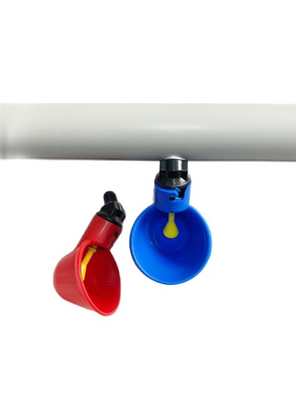 Vidalı Kapak Stili Yok Lastic Kırmızı Mavi Tavuk Otomatik Bardak Tiryakisi Bıldırcın Suluk Nipel Çiftlik Kanatlı Besleyici Içme Suyu Sistemi ile Kase (Yurt Dışından) fiyatları