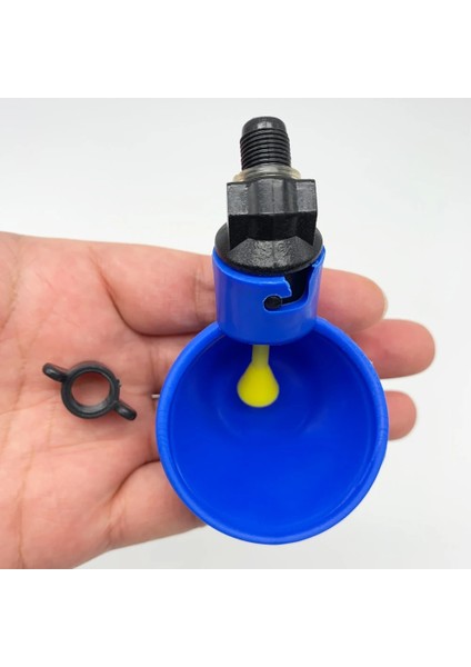 Vidalı Kapak Stili Yok Lastic Kırmızı Mavi Tavuk Otomatik Bardak Tiryakisi Bıldırcın Suluk Nipel Çiftlik Kanatlı Besleyici Içme Suyu Sistemi ile Kase (Yurt Dışından) modelleri