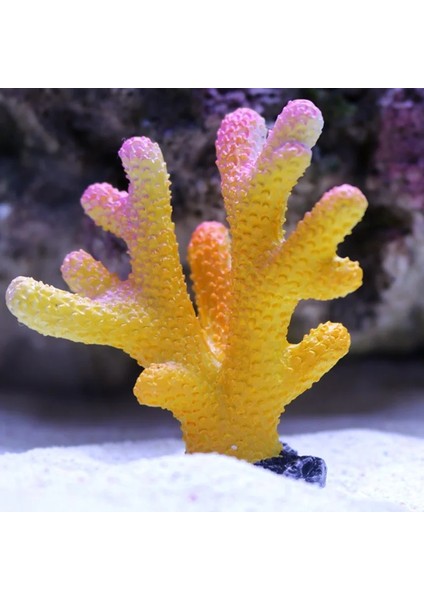 No.5 Tarzı Renkli Sualtı Simülasyon Canlı Akvaryum Reçine Mercan Balık Tankı Akvaryum Dekorasyon Yapay Mercan Balık Tankı Süsleri (Yurt Dışından) fırsatları