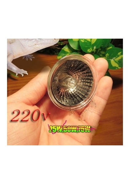 220V 25W Tarzı Sunning Isı Lambası 25~75 Watt Ampul, Geniş Spektrumlu Bir Işık Yayar, Teraryumlarda Basking Lamp Böcek Sürüngenleri Sağlanır (Yurt Dışından)