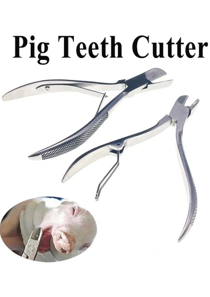 14CM Tarzı Glet Bebek Tavşan Dişleri Kesici Kesme Pensesi Kelepçe Hamster Paslanmaz Çelik Snaggletooth Diş Arası Veteriner Tarım (Yurt Dışından) fiyatları