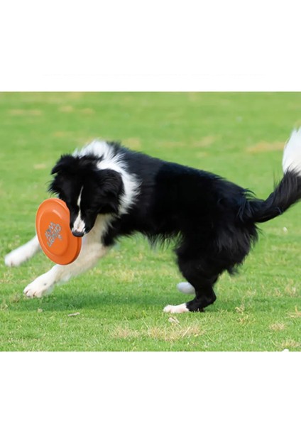 Turuncu Tarzı 18CM Interaktif Köpek Oyuncak Uçan Doft Bite Dayanıklı Köpek Plakası Oyuncak Büyük Büyük Küçük Köpek Çiğneme Oyuncak Oyun Oyunu Pet Köpek Sinek Dairesi (Yurt Dışından)