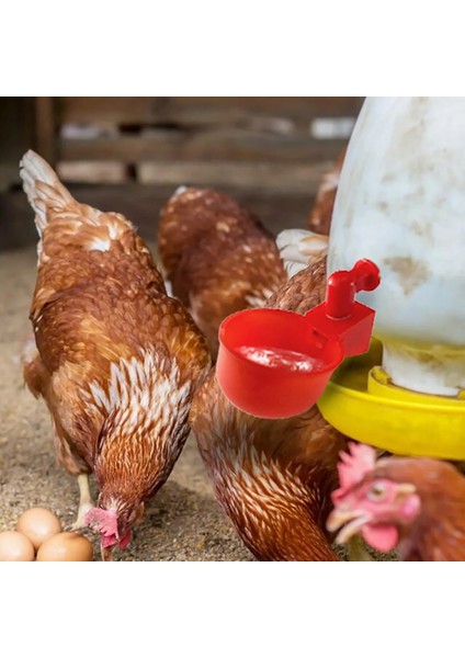 C Stili 6 Adet Yeni Otomatken Tiryakisi Bıldırcın Asılı Su Bardağı Meme Içme Kase Besleme Kuş Kümesi Tiryakisi Bardak Arka Bahçe Kümes Hayvanları Için (Yurt Dışından) modelleri