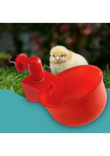 C Stili 6 Adet Yeni Otomatken Tiryakisi Bıldırcın Asılı Su Bardağı Meme Içme Kase Besleme Kuş Kümesi Tiryakisi Bardak Arka Bahçe Kümes Hayvanları Için (Yurt Dışından) indirimleri