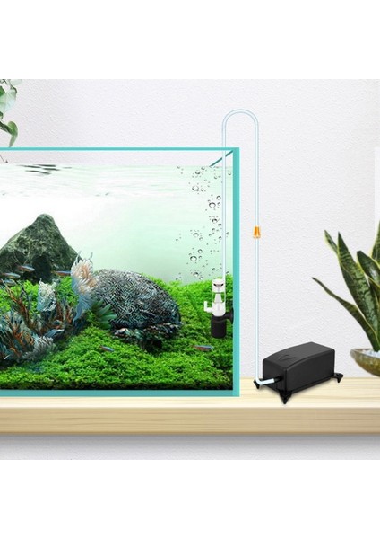 Gösteri Olarak Ultral Sessiz Mini Balık Tankı Akvaryum Göleti Dahili Plastik Emme Filtresi Oksijen Pompası Dalgıç Pompa Aksesuarı (Yurt Dışından) indirimleri