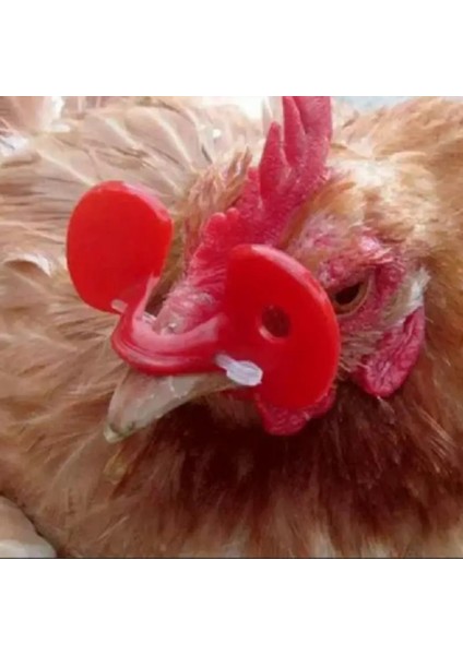 Delik Stili ile 10 Adet Tarım Ekipmanları Tavuk Sülün Tavuk Gözlüğü Horoz Bardakları Yumurta Tavukları Sülün Çiftliği Gagalama Önleyici Bardaklar Cocina (Yurt Dışından) indirimleri