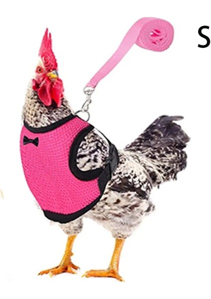 Mavi Stil Xl Beden Ayarlanabilir Tavuk Koşum Tasması Nefes Alabilir Yaz Serin Örgü Kedi Tavuk Koşum Tasma Küçük Köpek Yavrusu Koşum Göğüs Stri (Yurt Dışından)